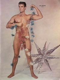 Un arbre de Noël pour Orme