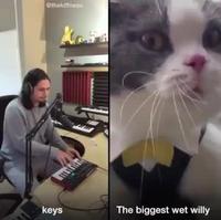 Je suis le gros Billy 