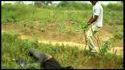 Film congolais - Bande annonce