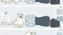 Kan ton chat te trouve mort