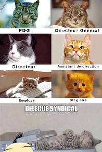 Les fdp et l'entreprise
