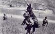 Pendant la guerre d'Algérie, une patrouille de la Légion a récupéré un ânon.
