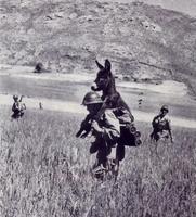Pendant la guerre d'Algérie, une patrouille de la Légion a récupéré un ânon.