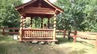 Parkour dog 2