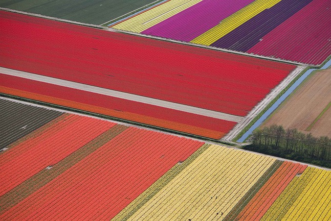 Des cultures de toutes les couleurs.