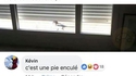 Kevin n'aime pas les citadins