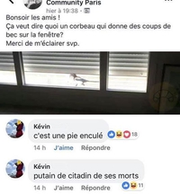 Kevin n'aime pas les citadins