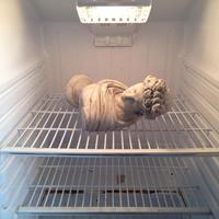 Kan tu veux illustrer la notion de frigedarium à tes proches