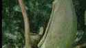 Dame Nature, magnifique et impitoyable 3