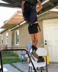 avoir un chien pour coach - 2