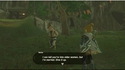 Link vole la vedette