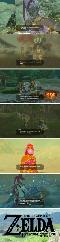 Link vole la vedette