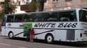 Le bus blanc