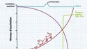 Les niveaux d'excitation