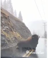 Si tu ris, je te défonce