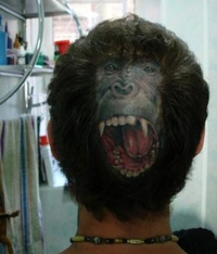Pour cacher sa tonsure