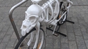 Chevaucher la mort