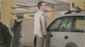 Campagne anti-drogue québéquoise