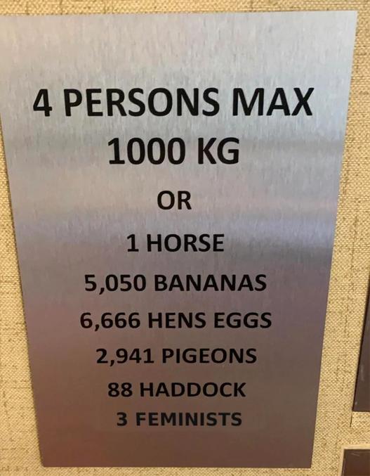 C'est toujours utile.

4 personnes max (1 000 kg) ou
1 cheval
5 050 bananes
6 666 œufs de poule
2 941 pigeons
88 haddocks
3 féministes.