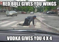 Redbull vs Vodka