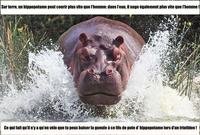 Po, po, po, po, dis !