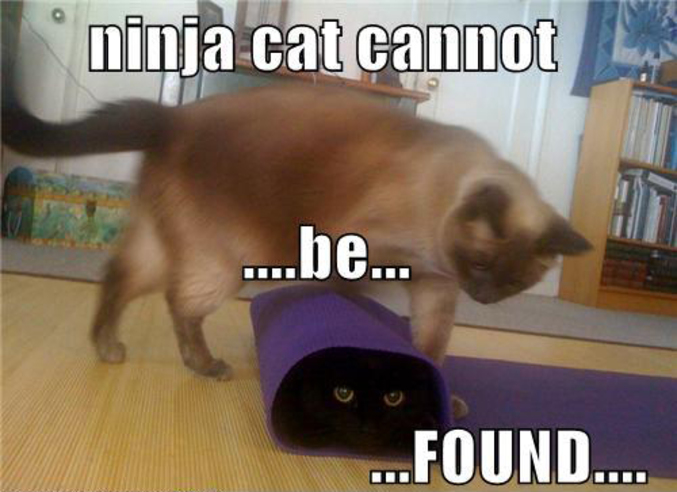 If you are a ninja cat.