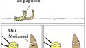 La chenille et Lelombrik