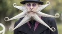 barbe poulpe