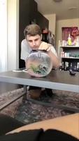Dresser son poisson 