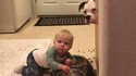 Donnez à manger au bébé le chien