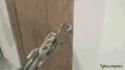 Le robot qui sait ouvrir les portes