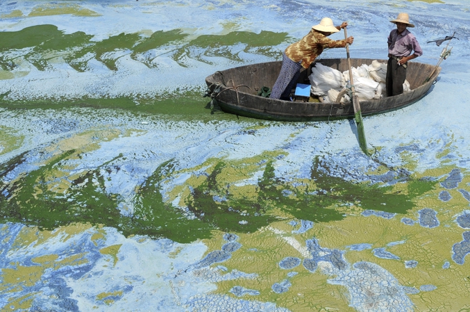 Pêcheurs naviguant dans les eaux infestées d'algues du lac Chaohu, dans la province de Anhui, Chine, en juin 2009. Le pays avait investi à l'époque 7,4 milliards de dollars dans la construction de 2 712 projets visant à traiter les eaux sur-polluées de 8 rivières et lacs de la région.
Reuters/Jianan Yu