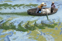 Navigation en eaux troubles