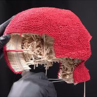 Crâne en allumettes