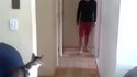 Chat check