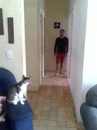 Chat check
