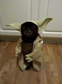 Cosplay de Yoda