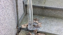 StalagMite Monte, stalacTite Tombe
