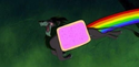 Nyan Scar