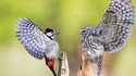 Une rencontre au sommet 