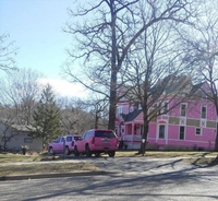 La vie en rose