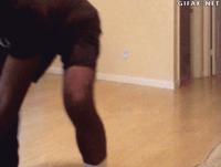 Glissade de chien