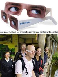 La solution d'un zoo pour observer un gorille sans le regarder dans les yeux