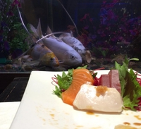 Allo Huston, on a un sushi...
