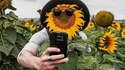 Autoportrait à l'huile de tournesol