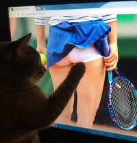 Un petit coup de patte