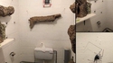 Les toilettes des filles