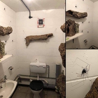 Les toilettes des filles