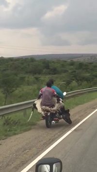Comment transporter belle-maman en Afrique