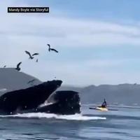 Pendant ce temps là en Californie 